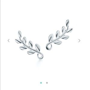 Tiffany & Co. Olive Leaf Climber Earrings